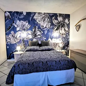 https://studio-jardin-pagnol.midi-pyreneeshotels.com